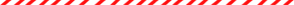 footer logo line